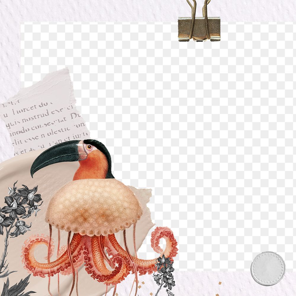 Retro toucan bird png transparent note in frame, surreal hybrid animal scrapbook illustration