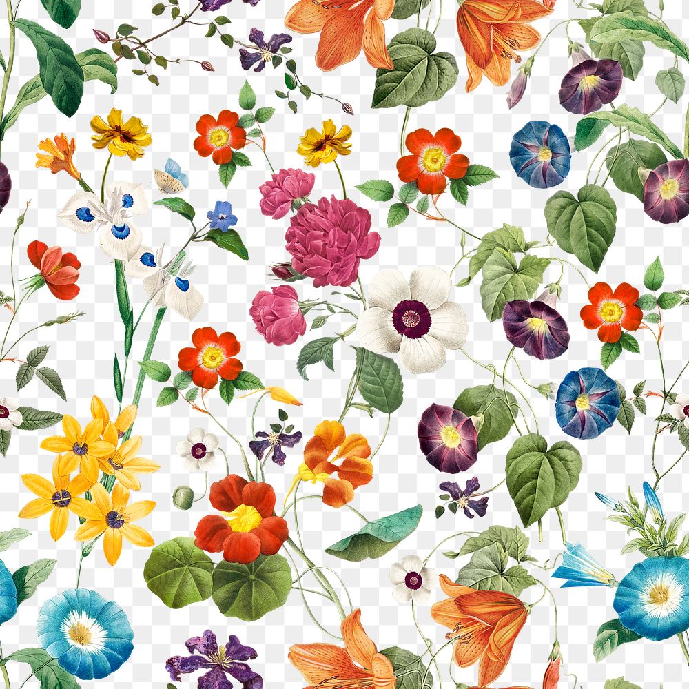 Floral png seamless pattern, transparent background, remix from the artworks of Pierre Joseph Redout&eacute;