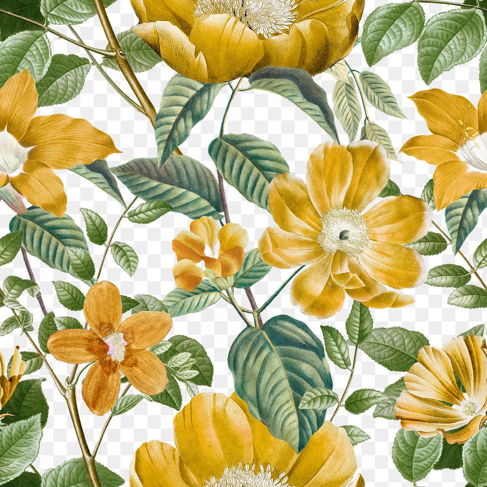 Floral png seamless pattern, transparent background, remix from the artworks of Pierre Joseph Redouté