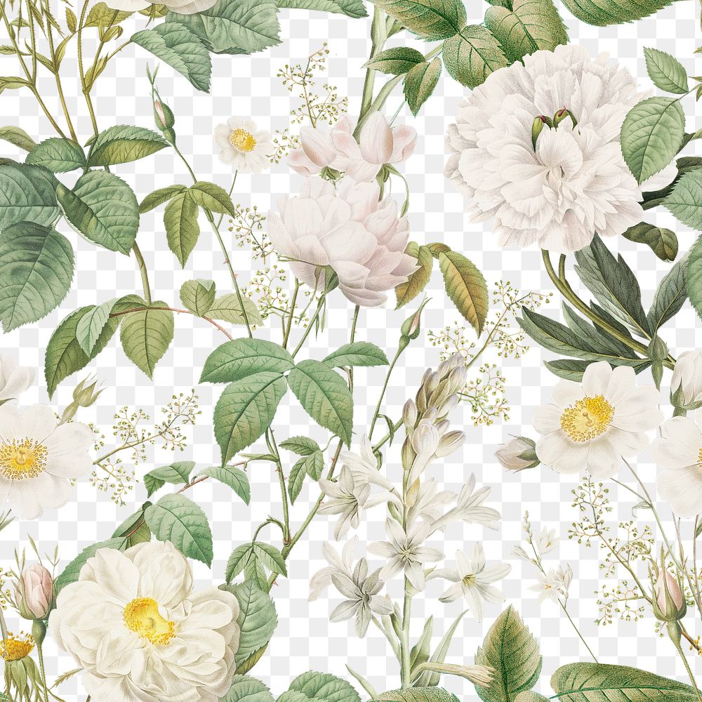 Botanical png seamless pattern, transparent background, remix from the artworks of Pierre Joseph Redout&eacute;