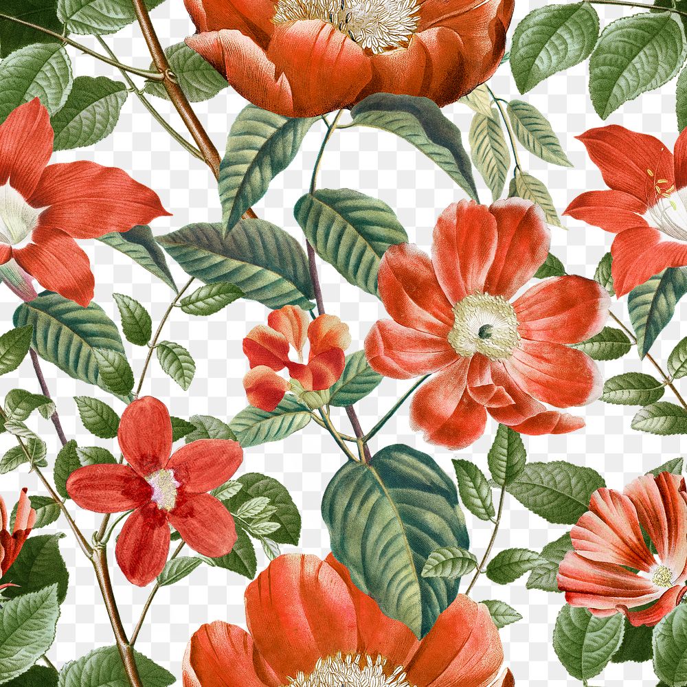 Retro flower png seamless pattern, transparent background, remix from the artworks of Pierre Joseph Redouté