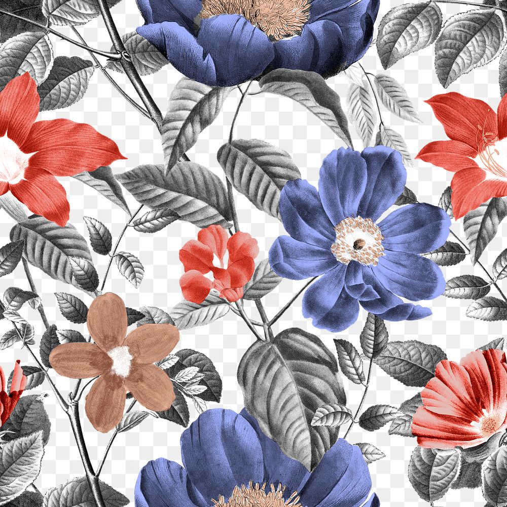 Retro flower png seamless pattern, transparent background, remix from the artworks of Pierre Joseph Redout&eacute;
