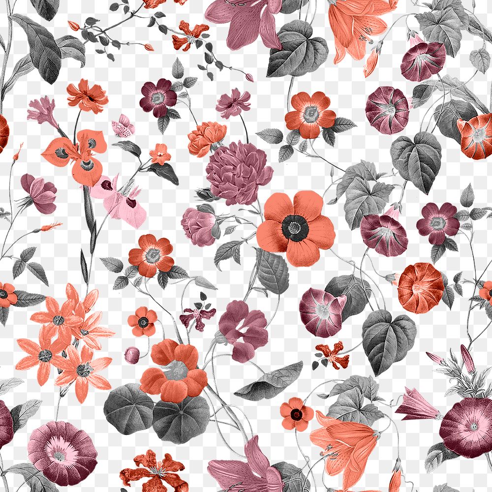 Botanical png seamless pattern, transparent background, remix from the artworks of Pierre Joseph Redout&eacute;