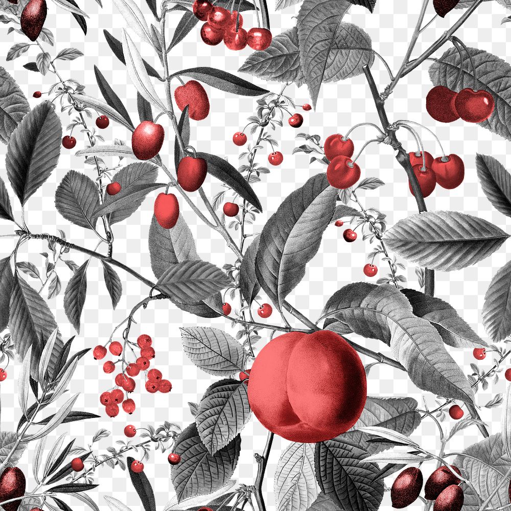 Botanical png seamless pattern, transparent background, remix from the artworks of Pierre Joseph Redout&eacute;