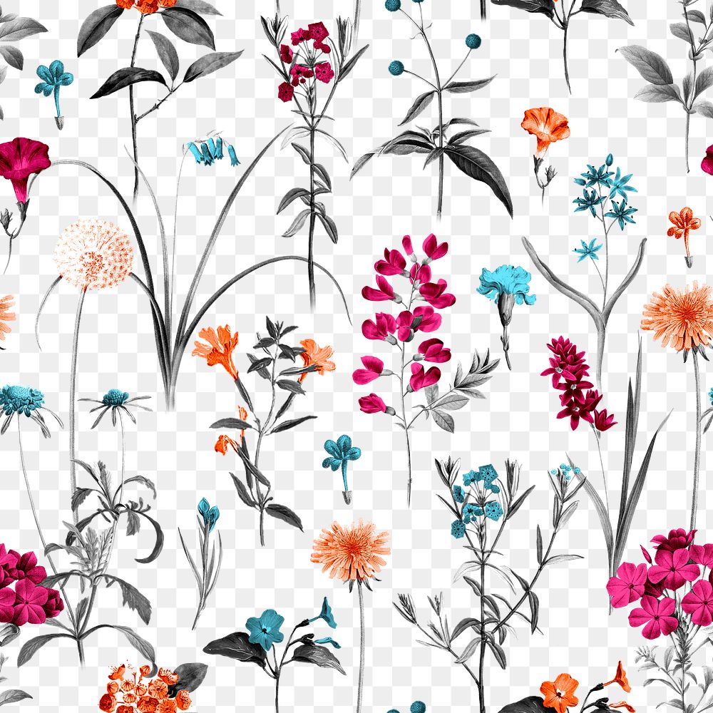 Colorful flower png pattern clipart, transparent background, remixed from original artworks by Pierre Joseph Redout&eacute;