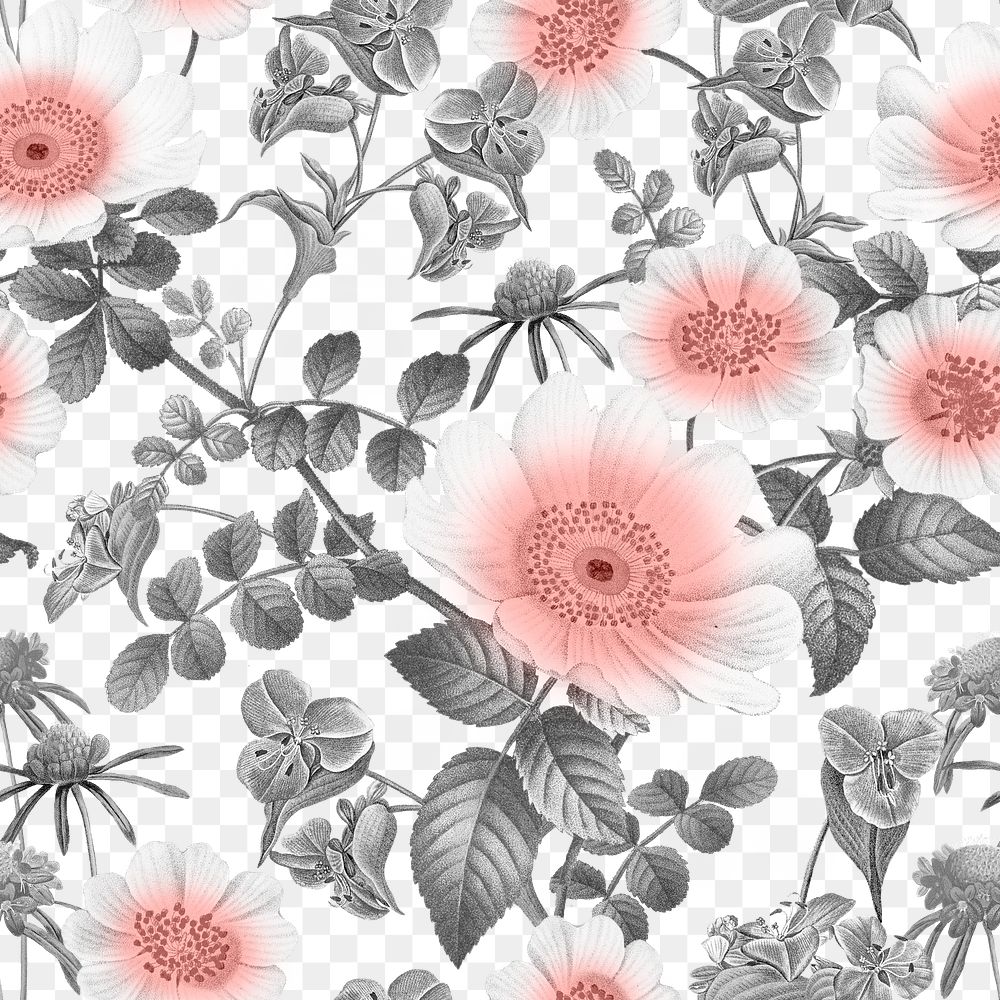 Retro flower png seamless pattern, transparent background, remix from the artworks of Pierre Joseph Redouté