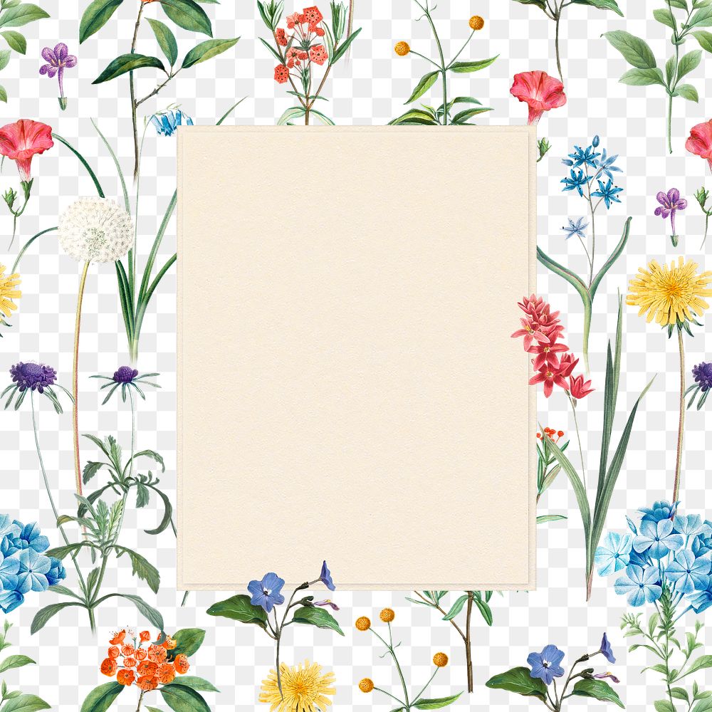 Flower png frame, transparent background, remix from the artworks of Pierre Joseph Redout&eacute;