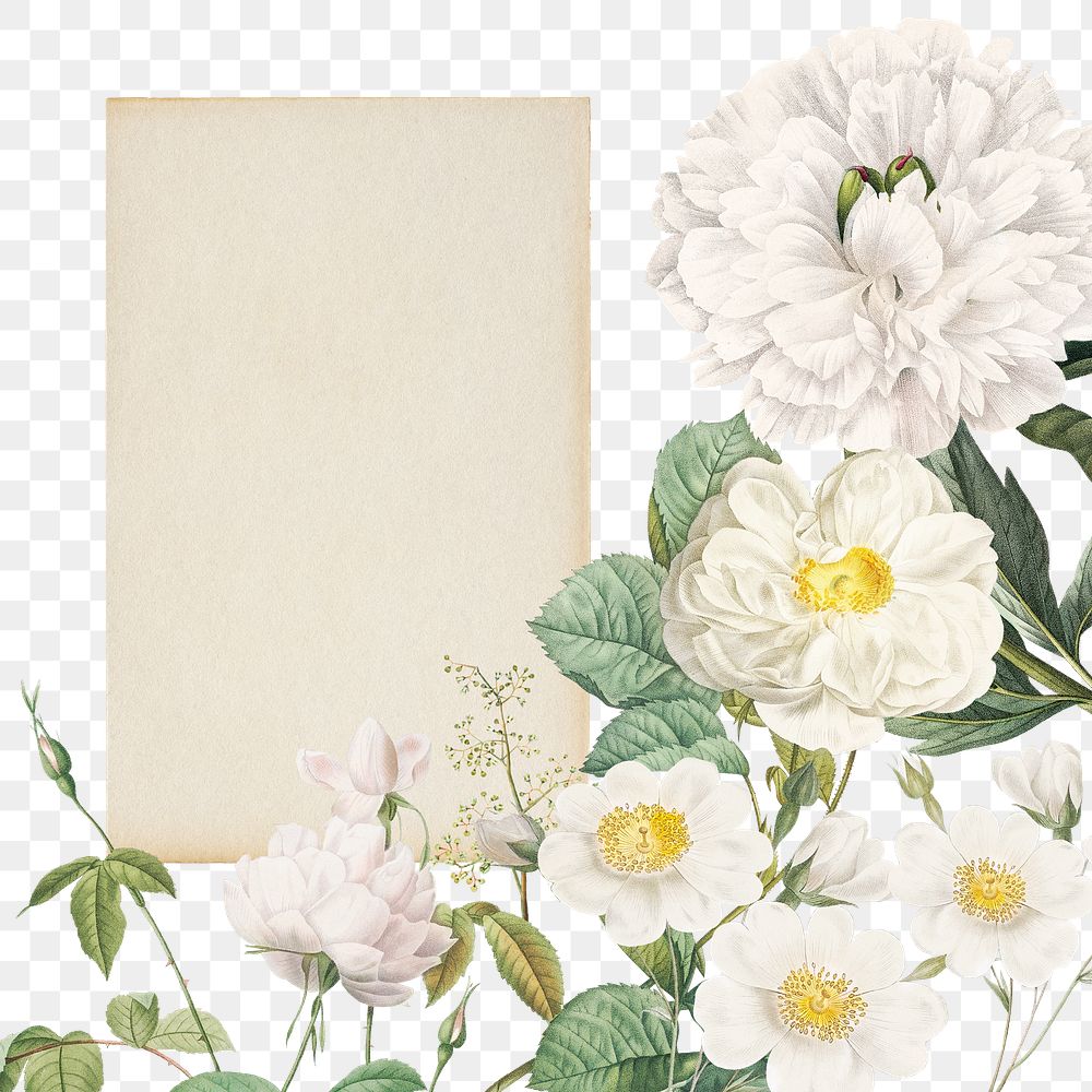 Aesthetic flower png frame, transparent background, remix from the artworks of Pierre Joseph Redout&eacute;