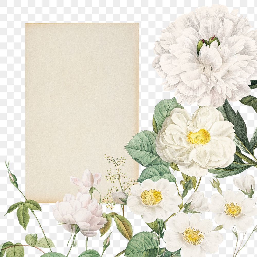 Aesthetic flower png frame, transparent background, remix from the artworks of Pierre Joseph Redouté