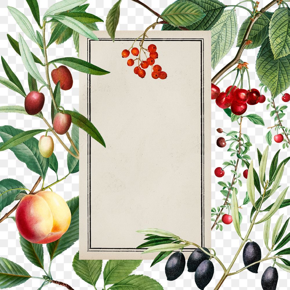 Vintage botanical png frame, transparent background, remix from the artworks of Pierre Joseph Redout&eacute;