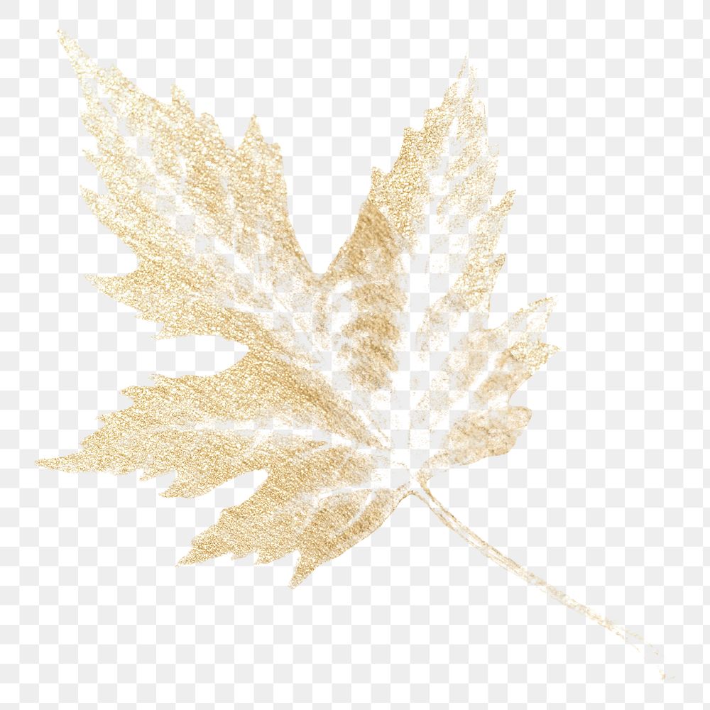 Autumn leaf png sticker, gold botanical design for digital planner, transparent background