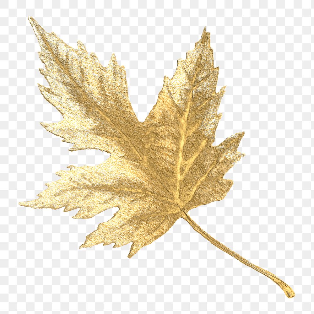 Autumn leaf png sticker, gold botanical design for digital planner, transparent background