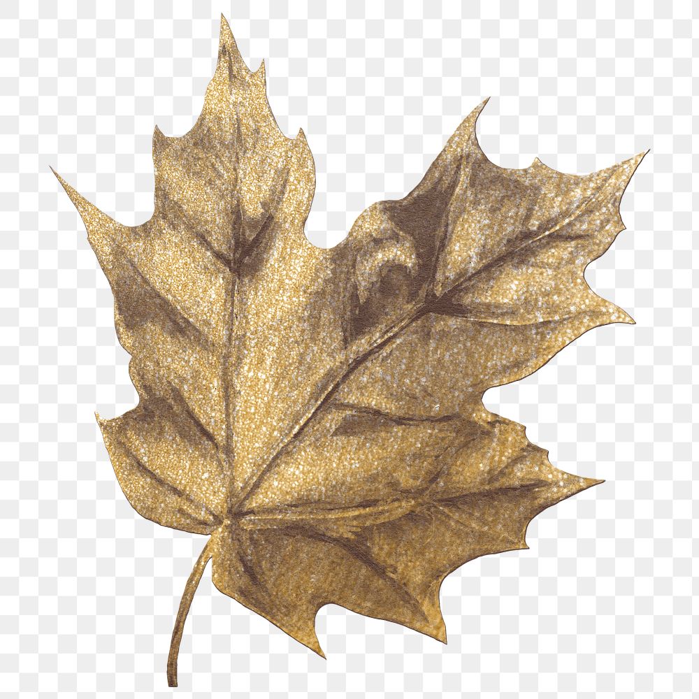 Dried botanical png clipart, gold leaf design for digital planner, transparent background 