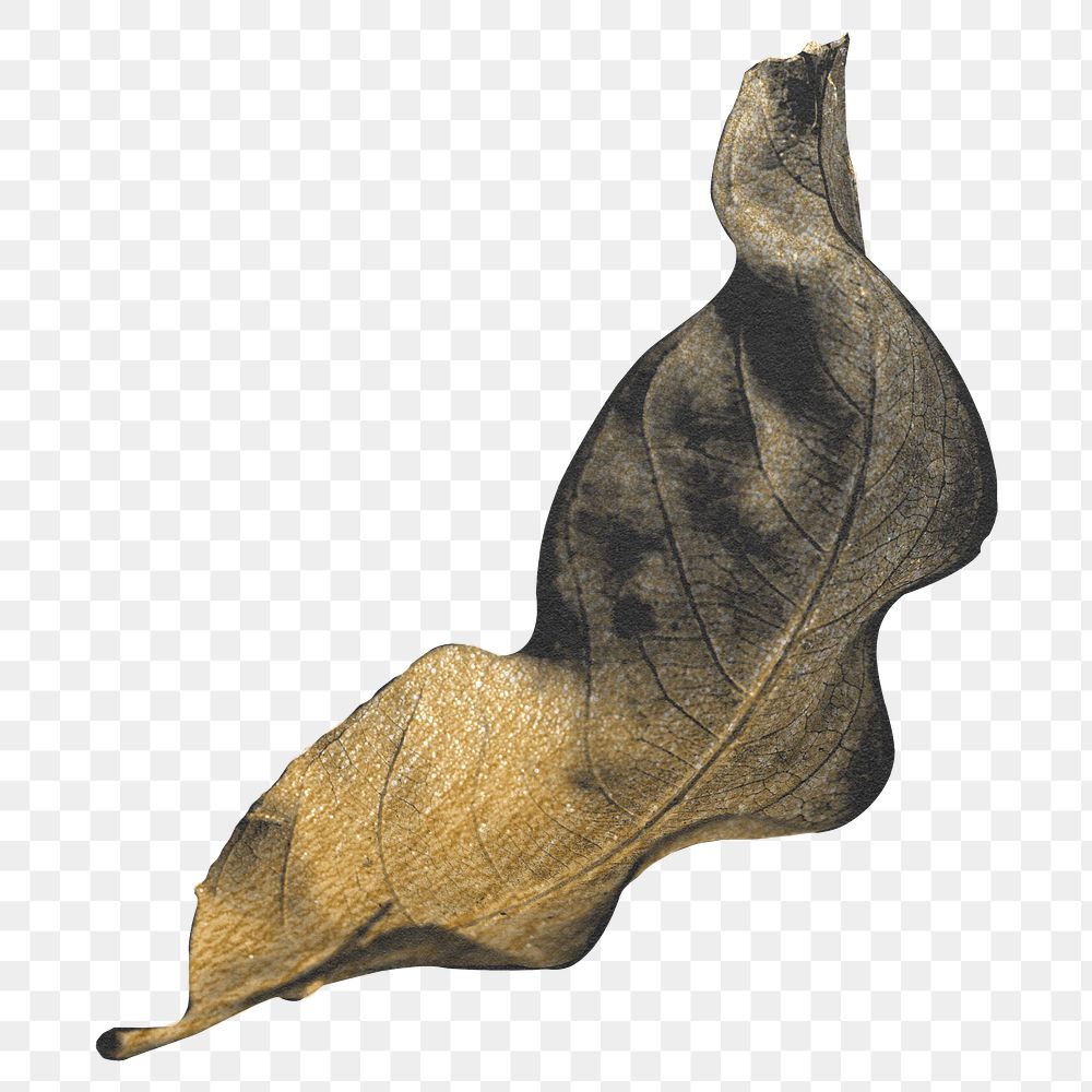 Autumn leaf png sticker, gold botanical painting design for digital planner, transparent background