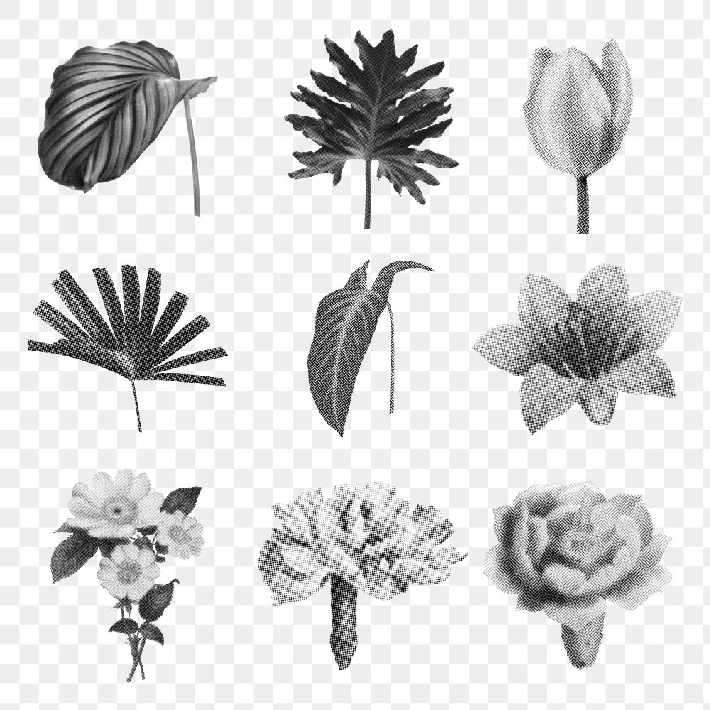Plants & flowers png sticker set, retro halftone black and white designs