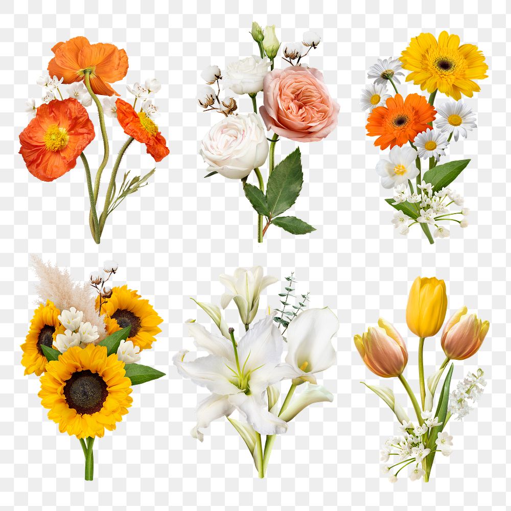 Flower png stickers, floral collage element set, transparent background