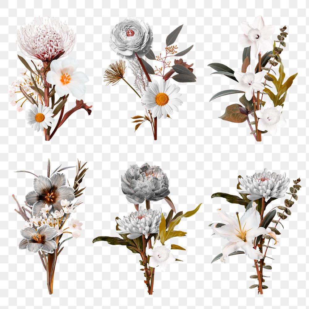 Botanical flower png stickers, floral collage element set, transparent background