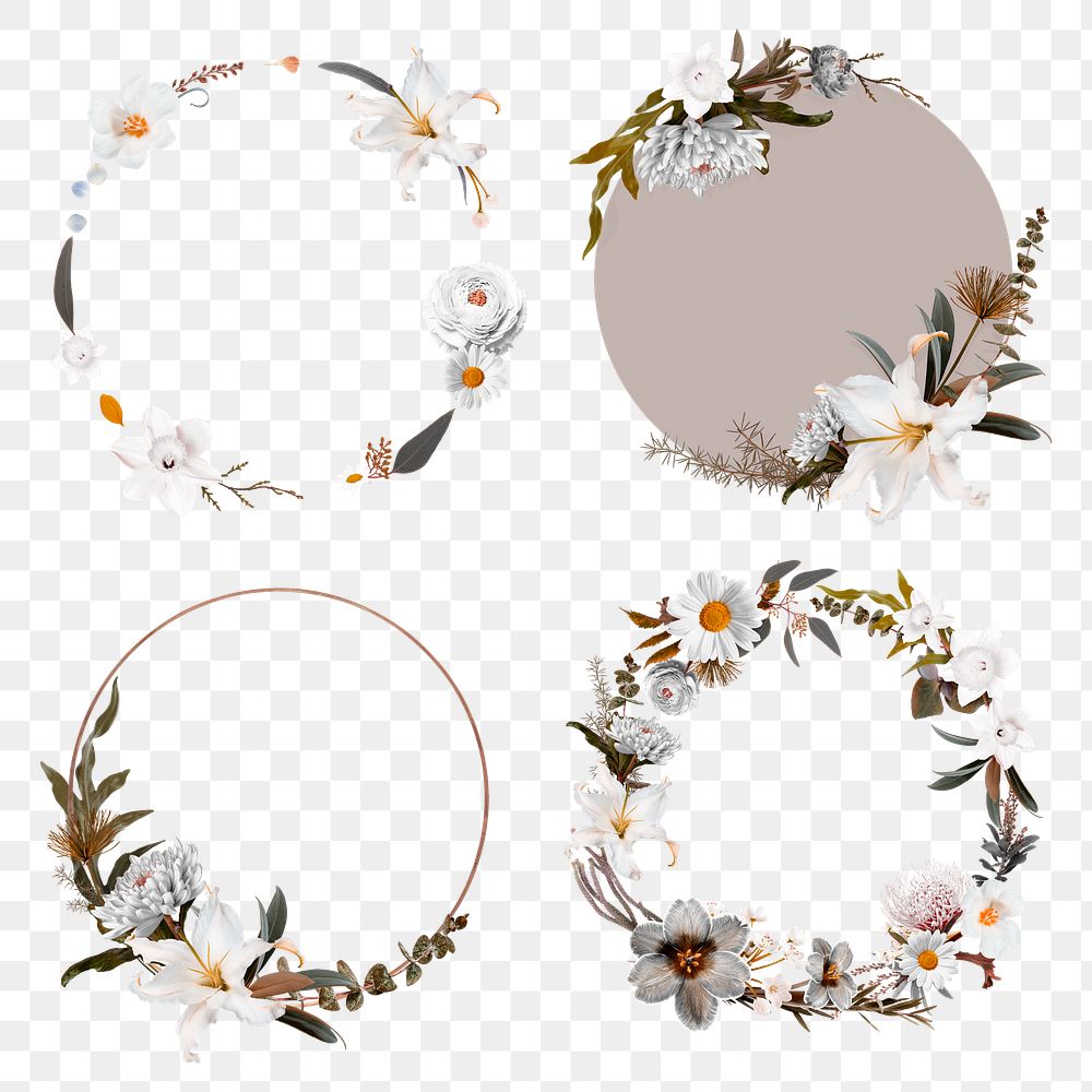 Botanical flower png frame stickers, floral collage element set, transparent background 