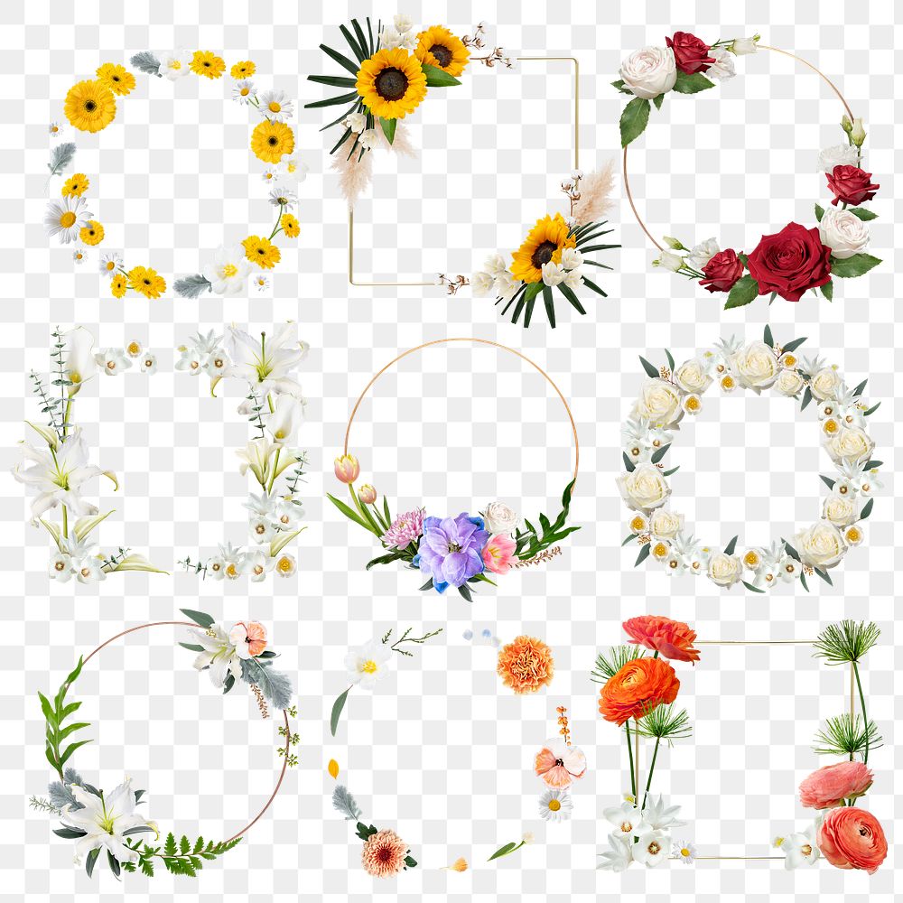 Botanical flower png frame stickers, floral collage element set, transparent background
 