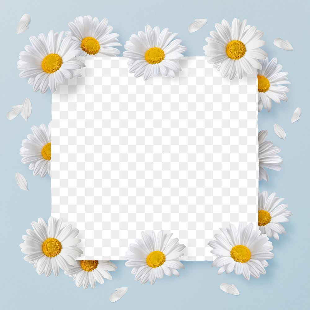 Png floral frame sticker, botanical design in transparent background