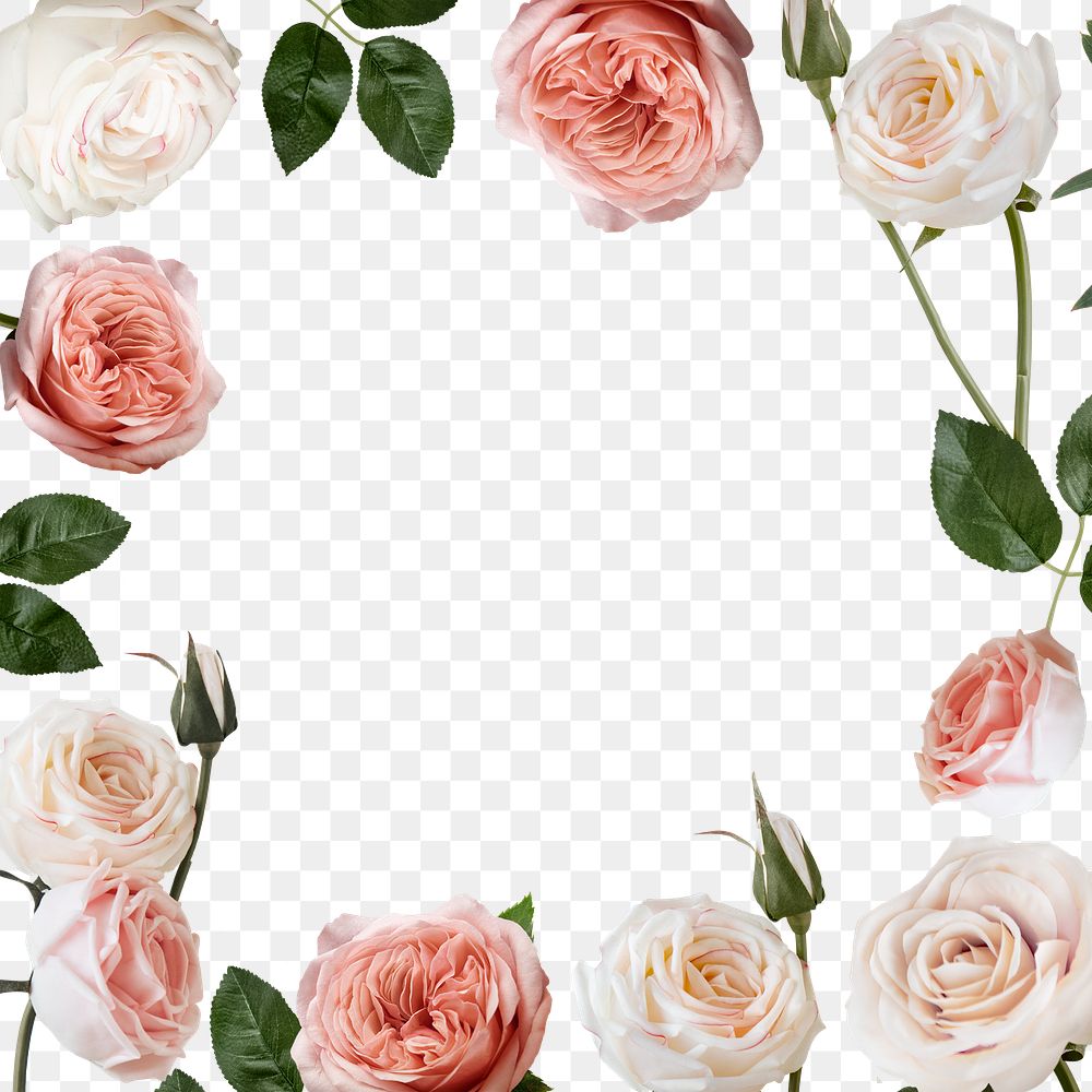 Png floral frame collage element, botanical design in transparent background
