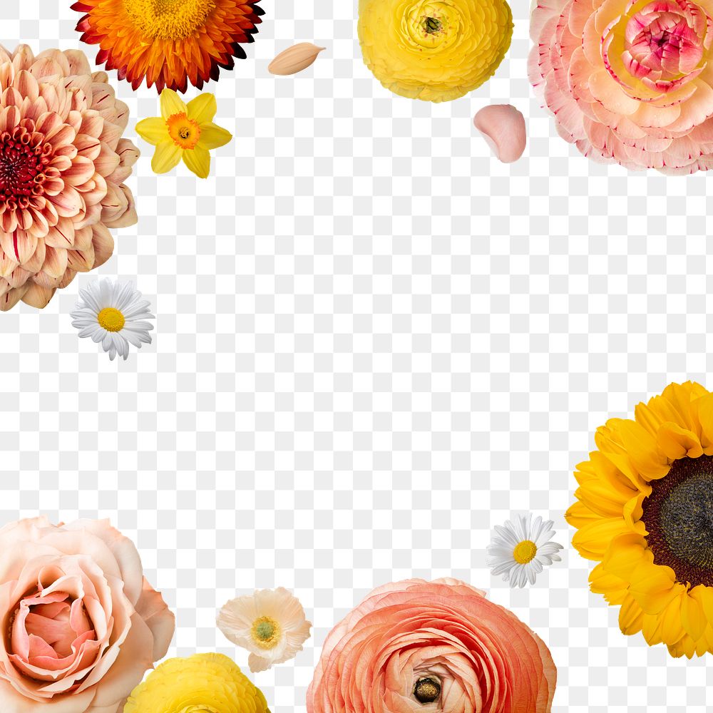 Colorful png flowers frame, floral design in transparent background