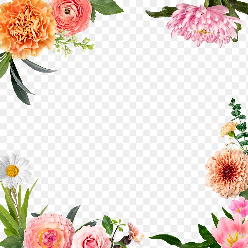 Aesthetic png botanical frame, floral design in transparent background 