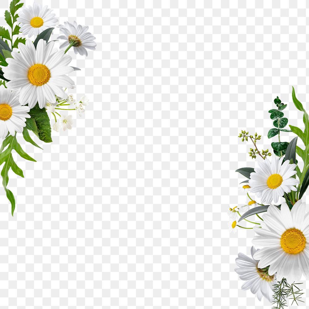 Png floral frame sticker , botanical design in transparent background 