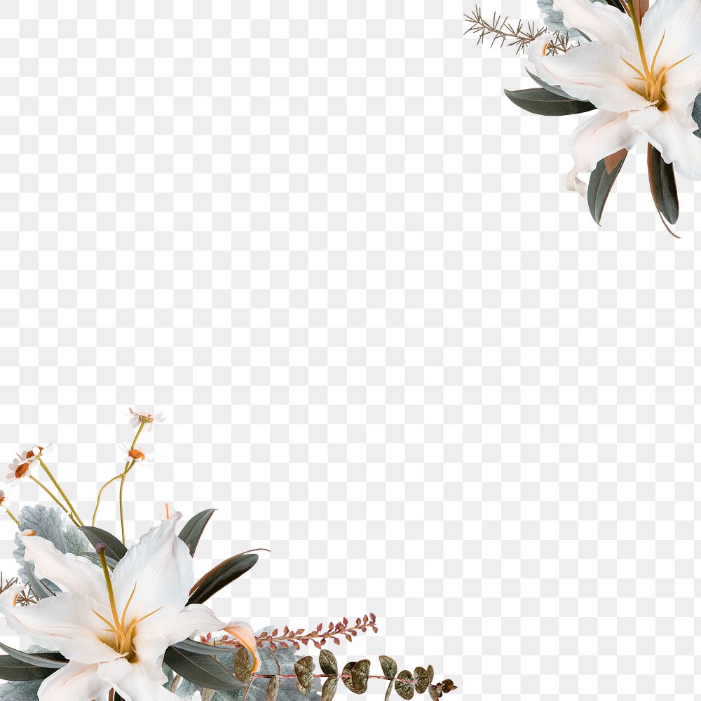 Aesthetic png botanical frame, floral design in transparent background