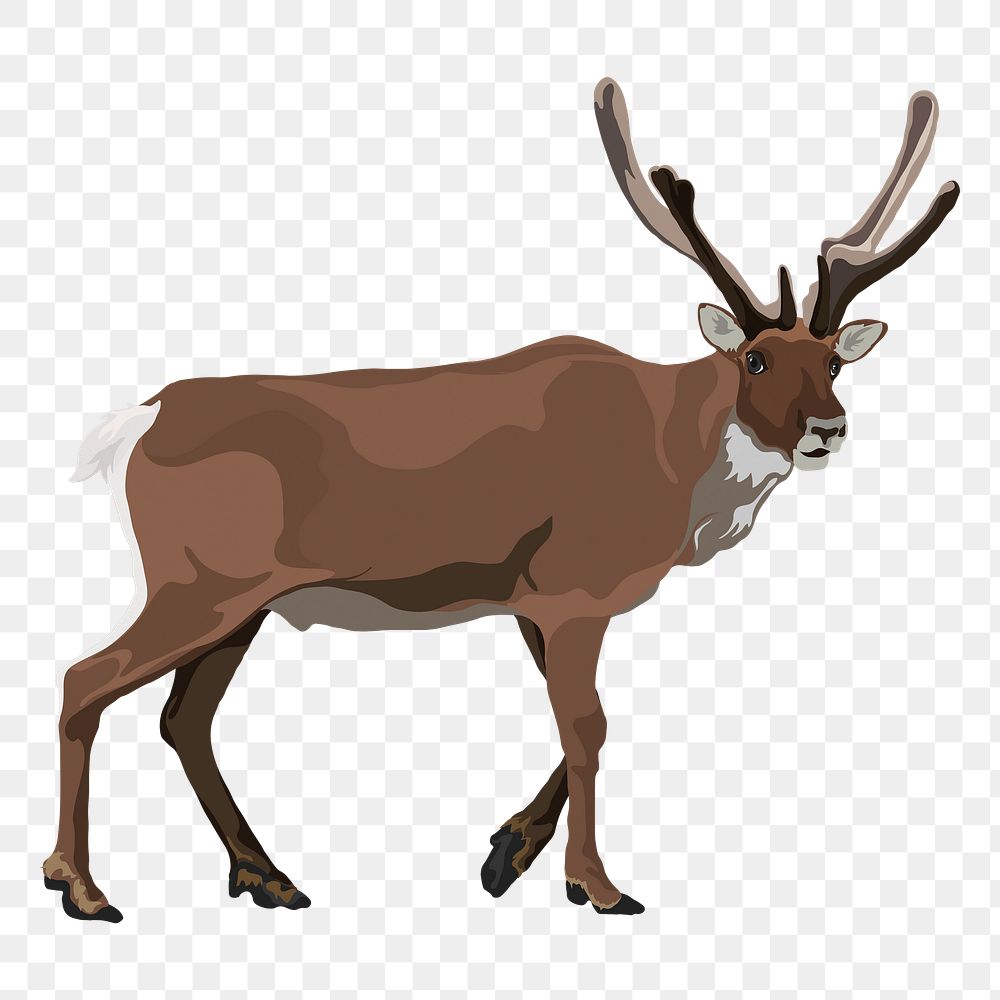 Elk png illustration clipart, wild animal sticker, transparent background