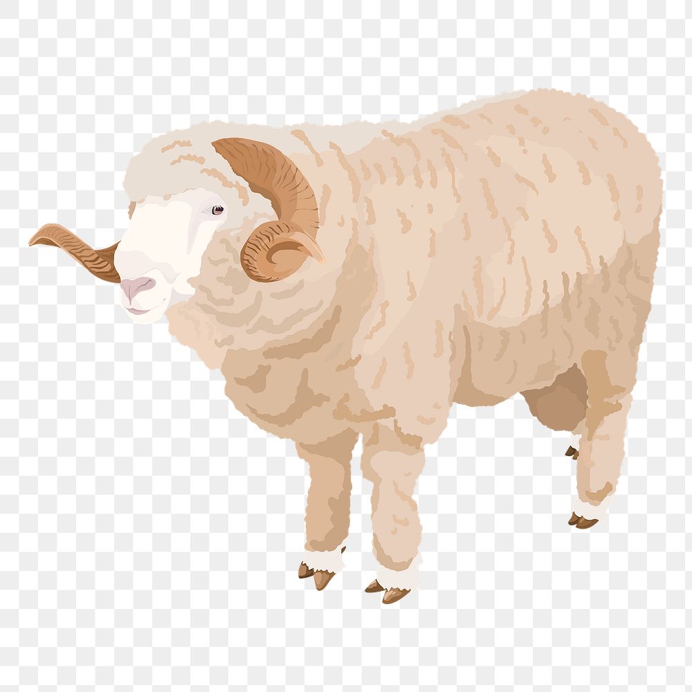 PNG sheep animal illustration, ram sticker, transparent background