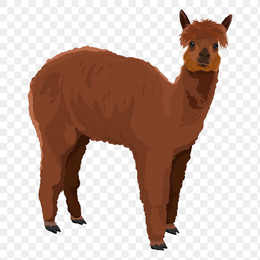 Brown alpaca png, illustration sticker, transparent background