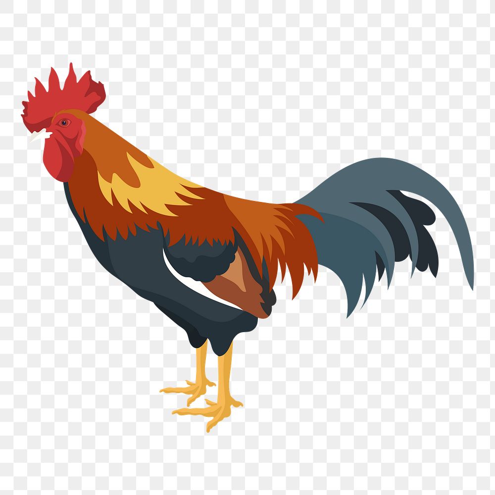 PNG chicken rooster sticker, cock illustration, transparent background