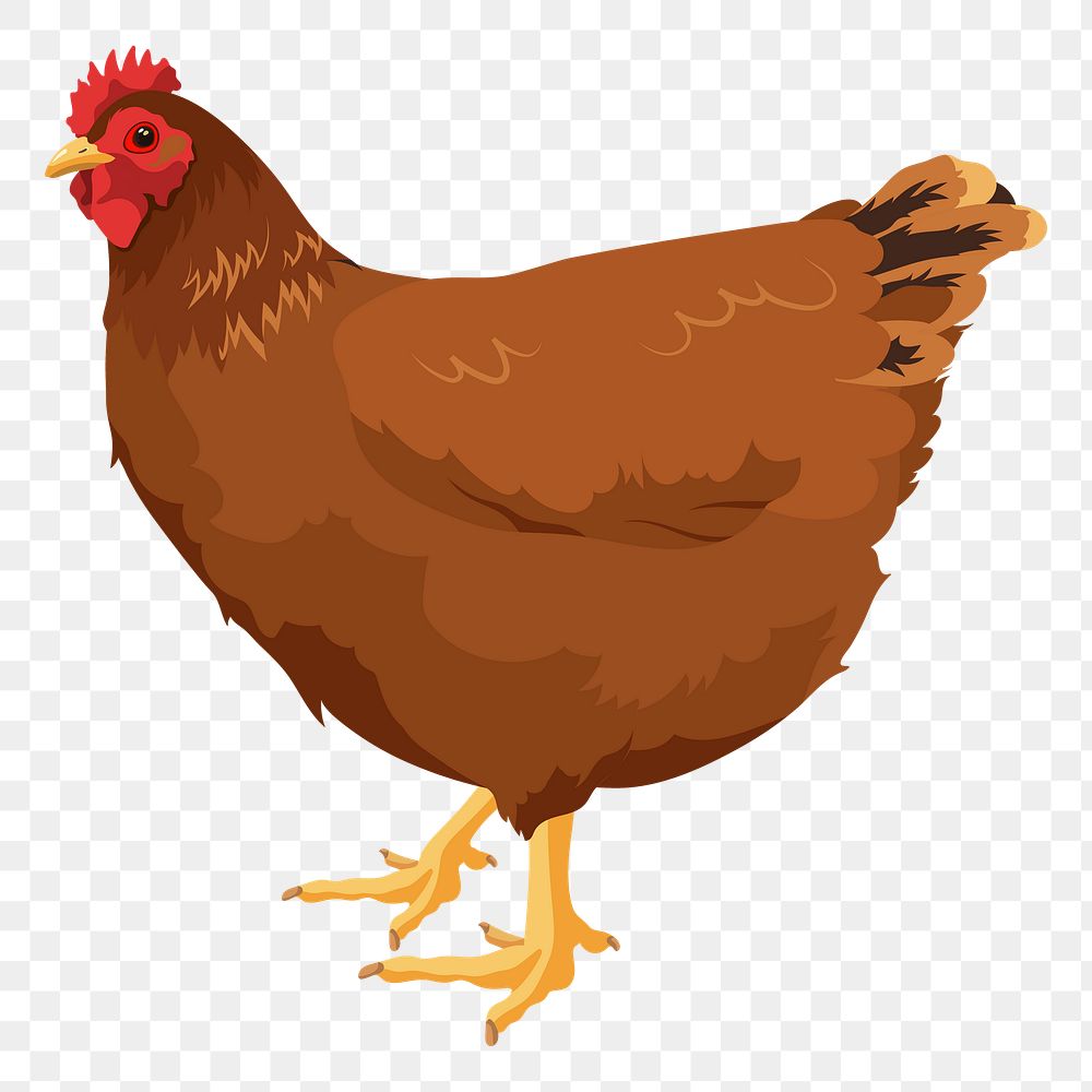 PNG chicken, brown hen illustration, sticker in transparent background