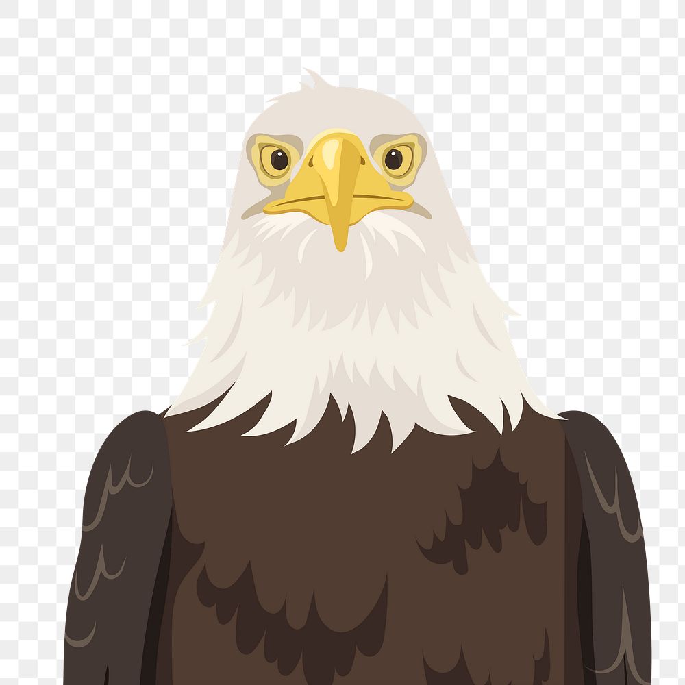 PNG bald eagle face illustration, bird sticker, USA symbol, transparent background