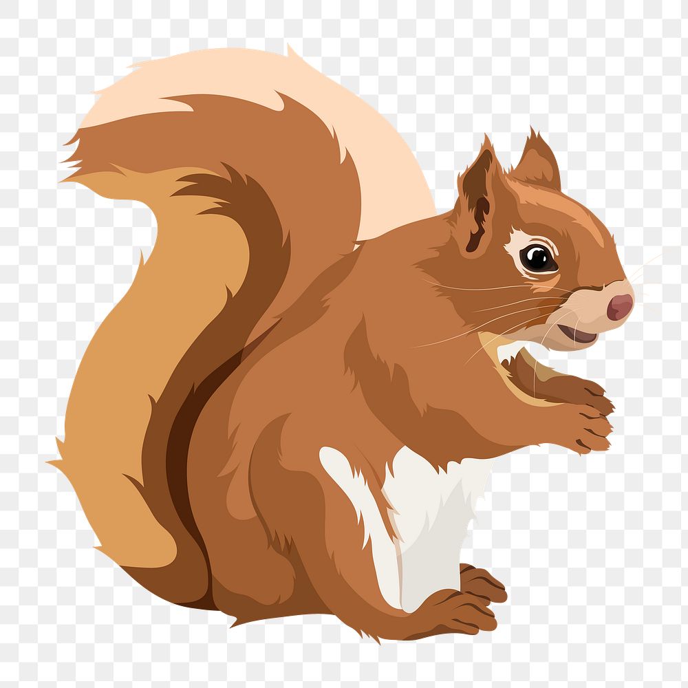 Squirrel png, rodent animal illustration sticker, transparent background