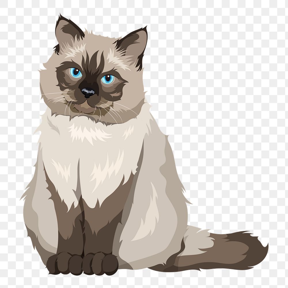 Ragdoll cat png illustration sticker, transparent background