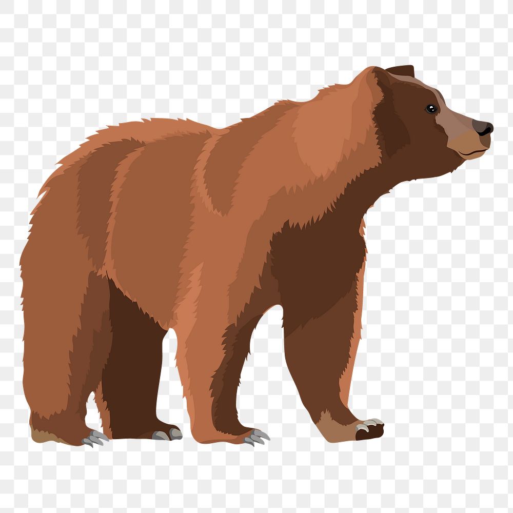 PNG brown bear on four legs illustration sticker, transparent background