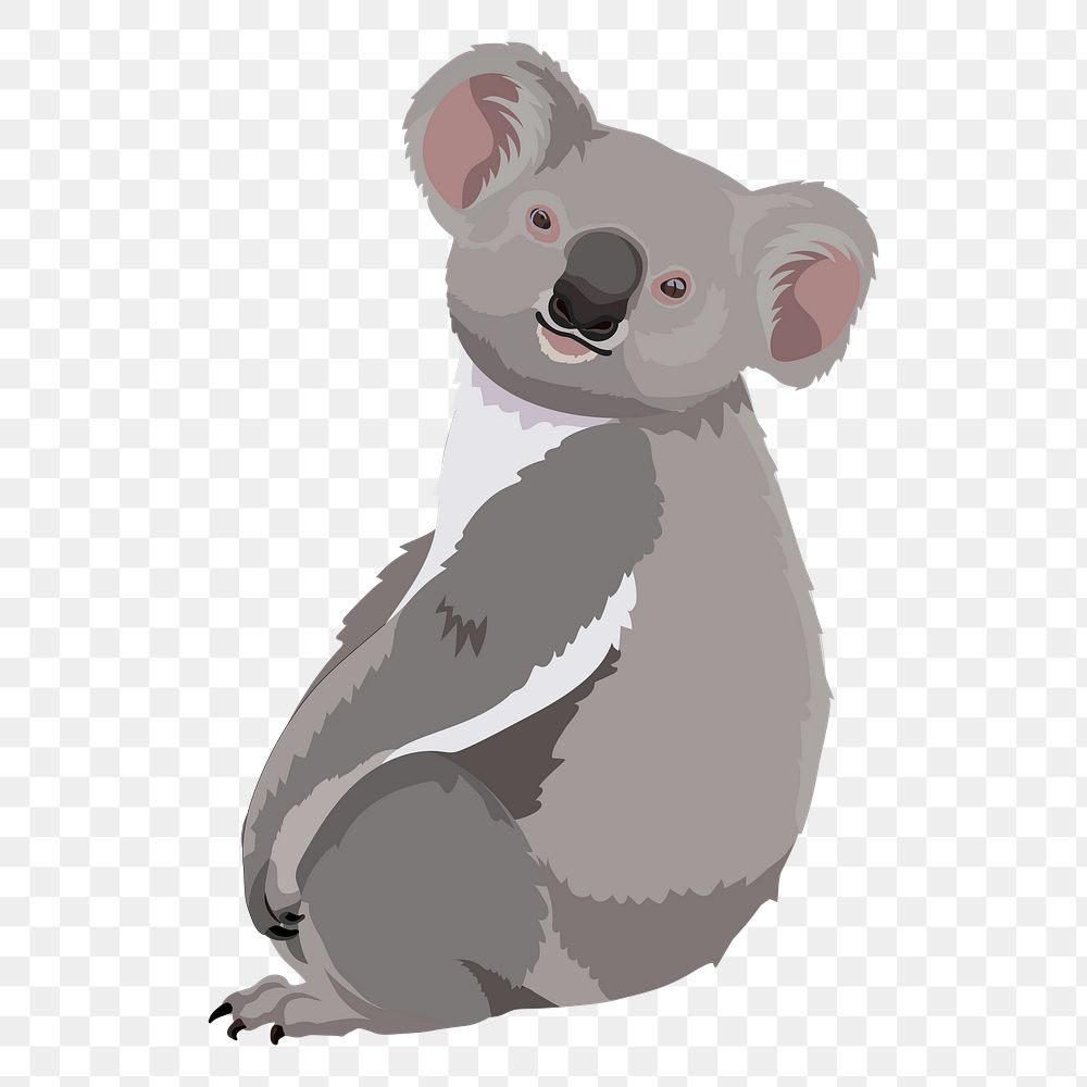Koala bear png, wild Australian animal illustration sticker, transparent background