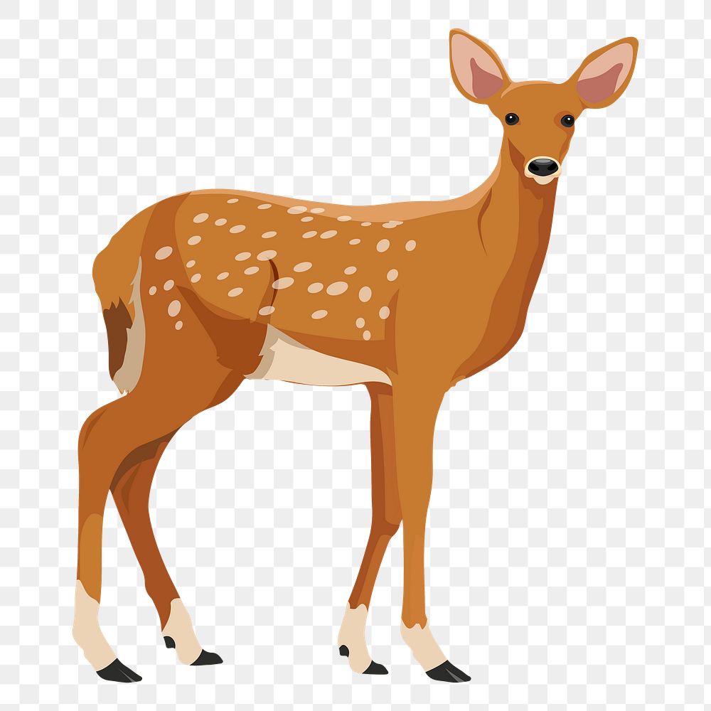 PNG chital sticker, spotted deer, wild animal illustration, transparent background