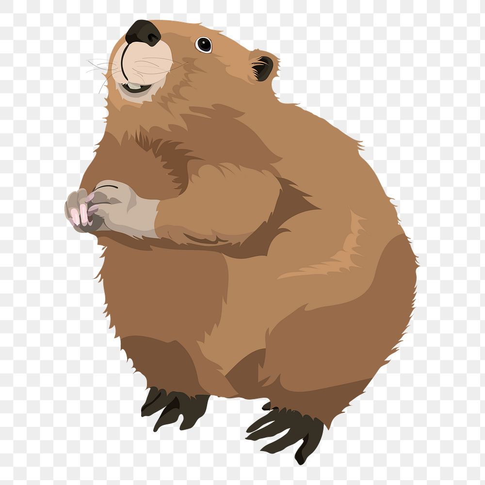 Beaver png illustration, cute animal sticker, transparent background