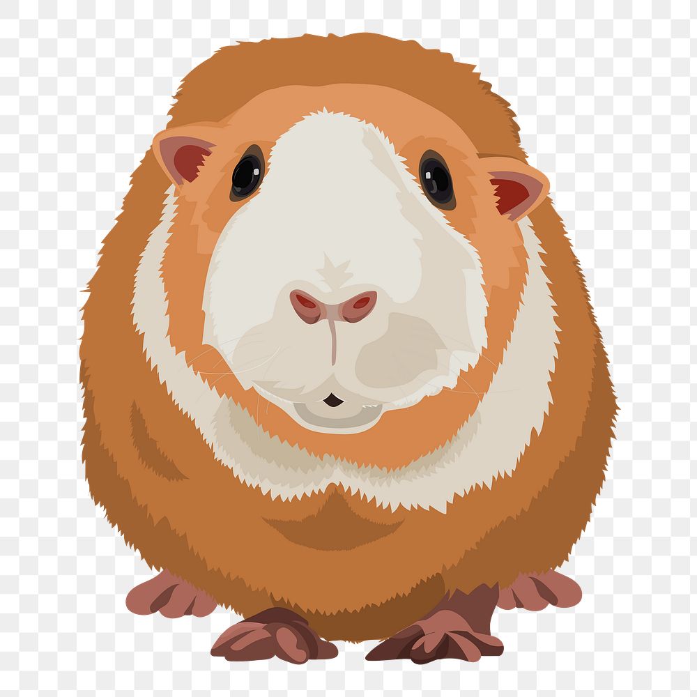Guinea pig png illustration sticker, transparent background