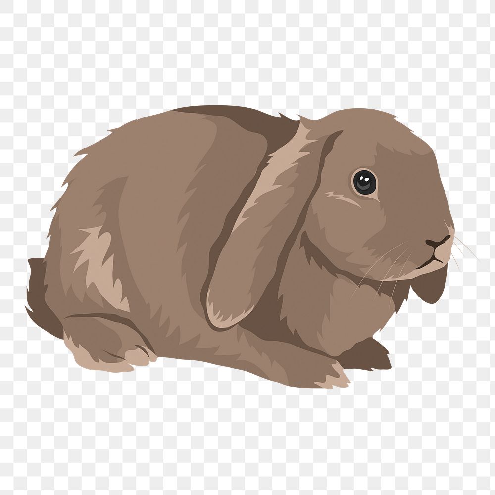 PNG pet bunny sticker, brown animal, transparent background