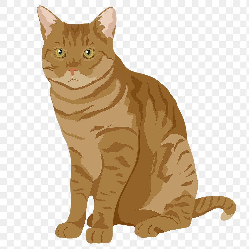 PNG ginger shorthair cat sticker, transparent background