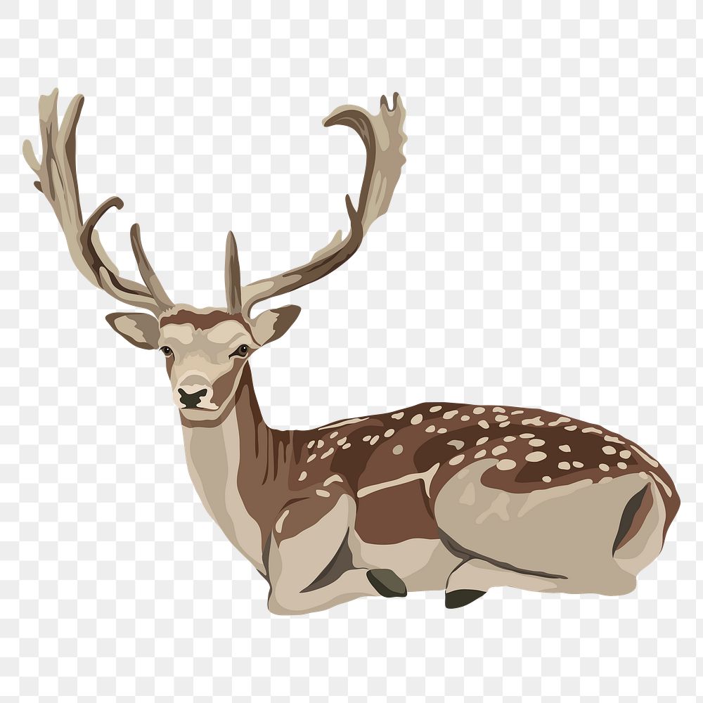 Wild deer png sitting illustration, wild animal illustration sticker, transparent background