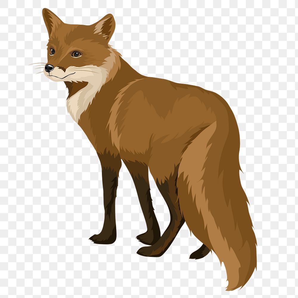 Fox illustration png sticker, transparent background