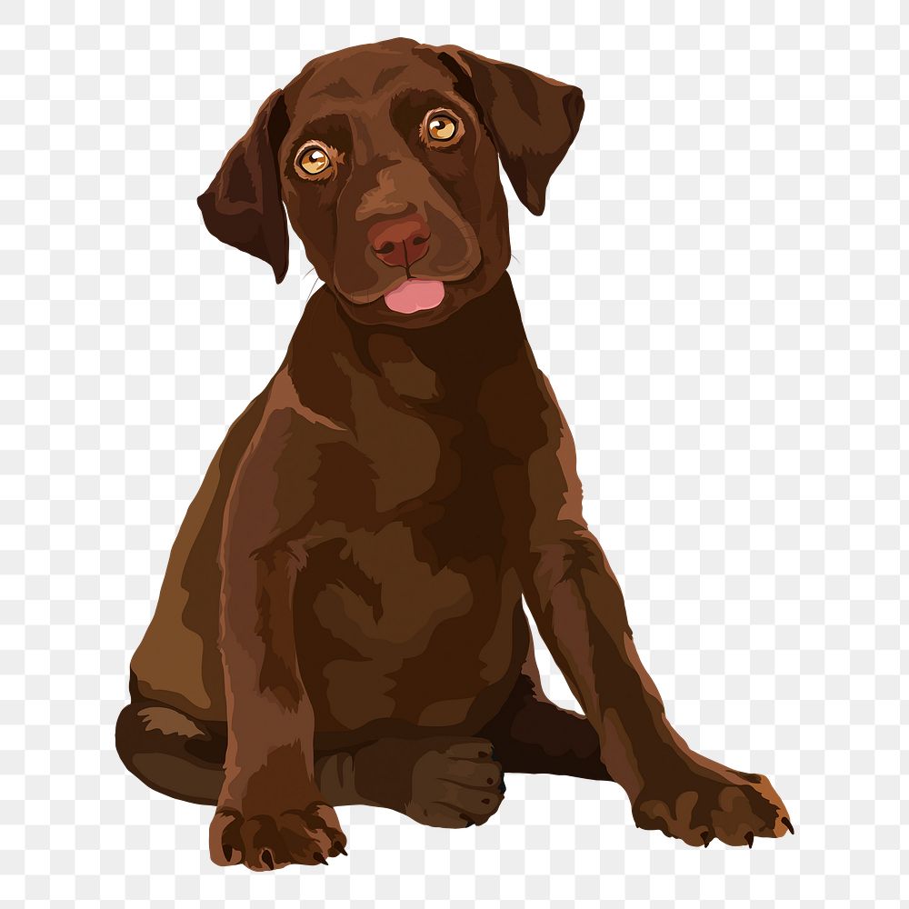 Brown puppy png sticker, labrador retriever, cute animal illustration, transparent background
