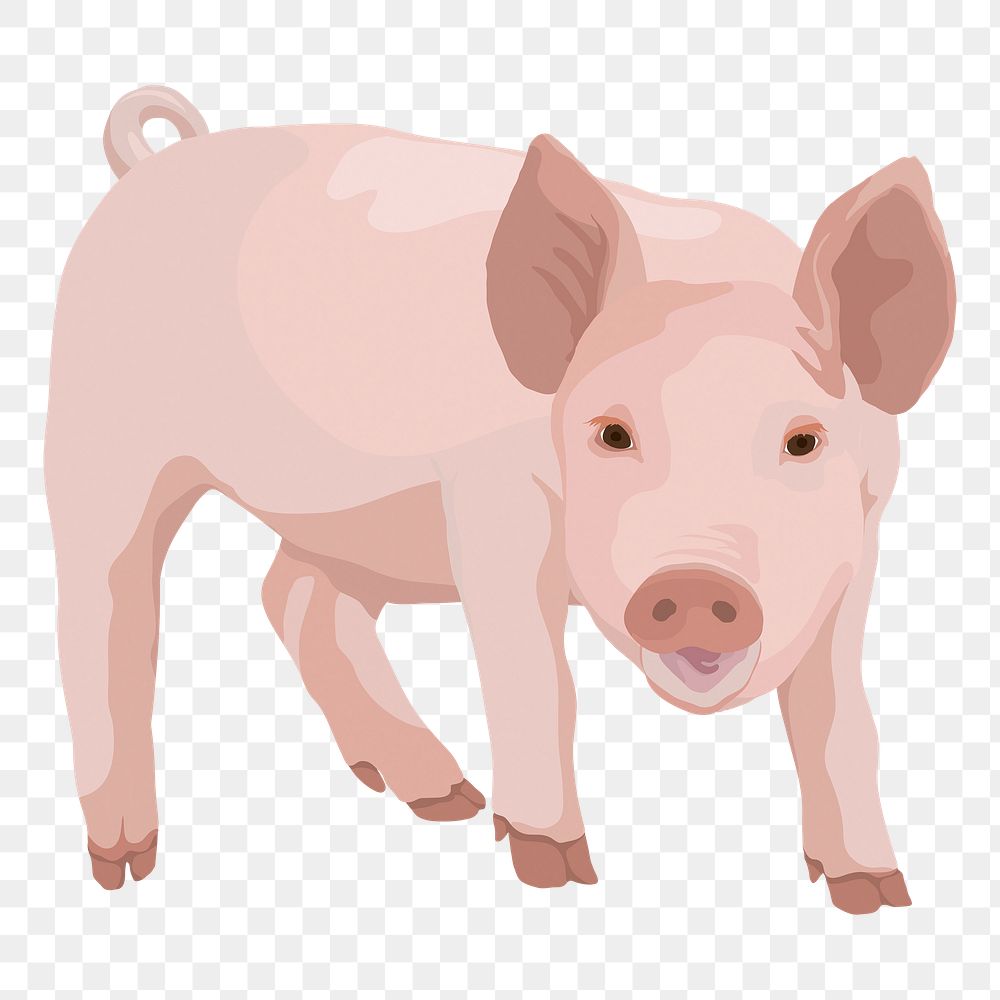 Cute piglet png illustration, farm animal, digital sticker, transparent background