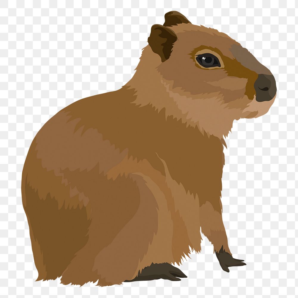 Water hog png sticker, capybara animal illustration, transparent background