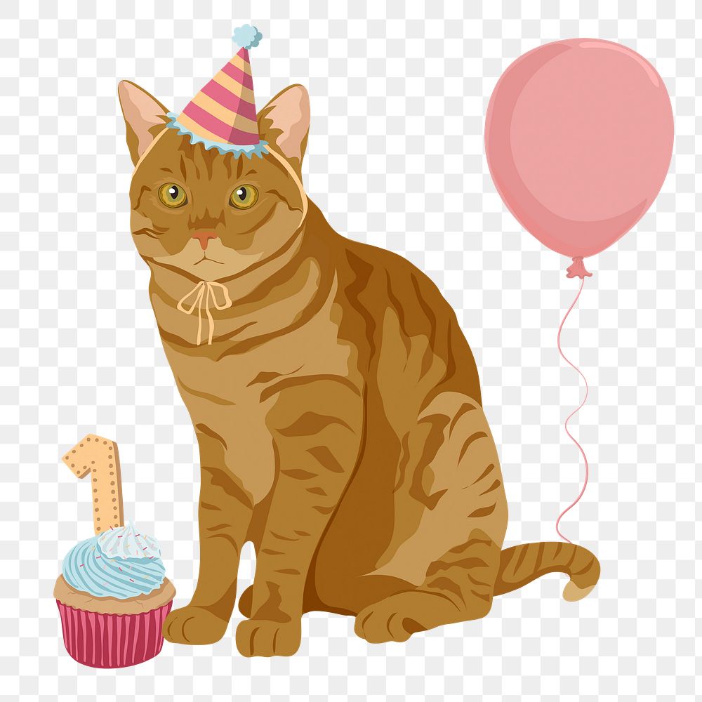 PNG cat birthday, ginger shorthair, party animal sticker, transparent background